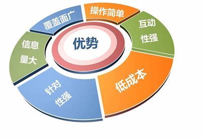 网络推广编辑的职责与新手入门指南（2024年12月最新版）